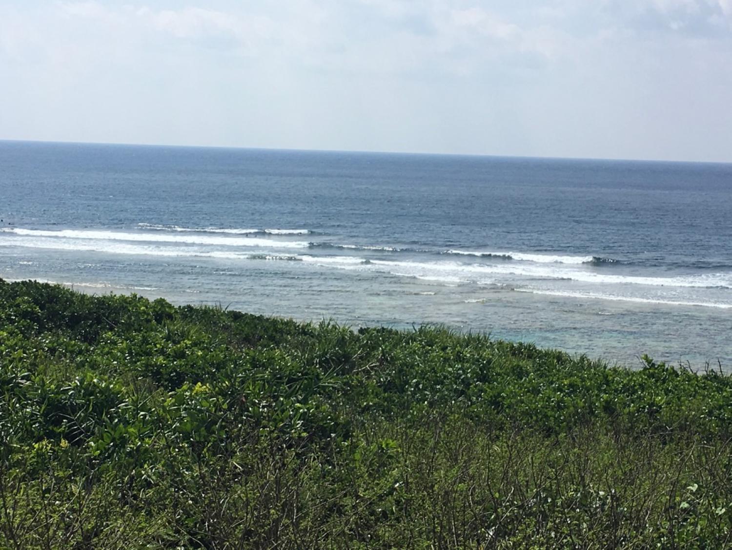 May 19 suicide point wave information 2