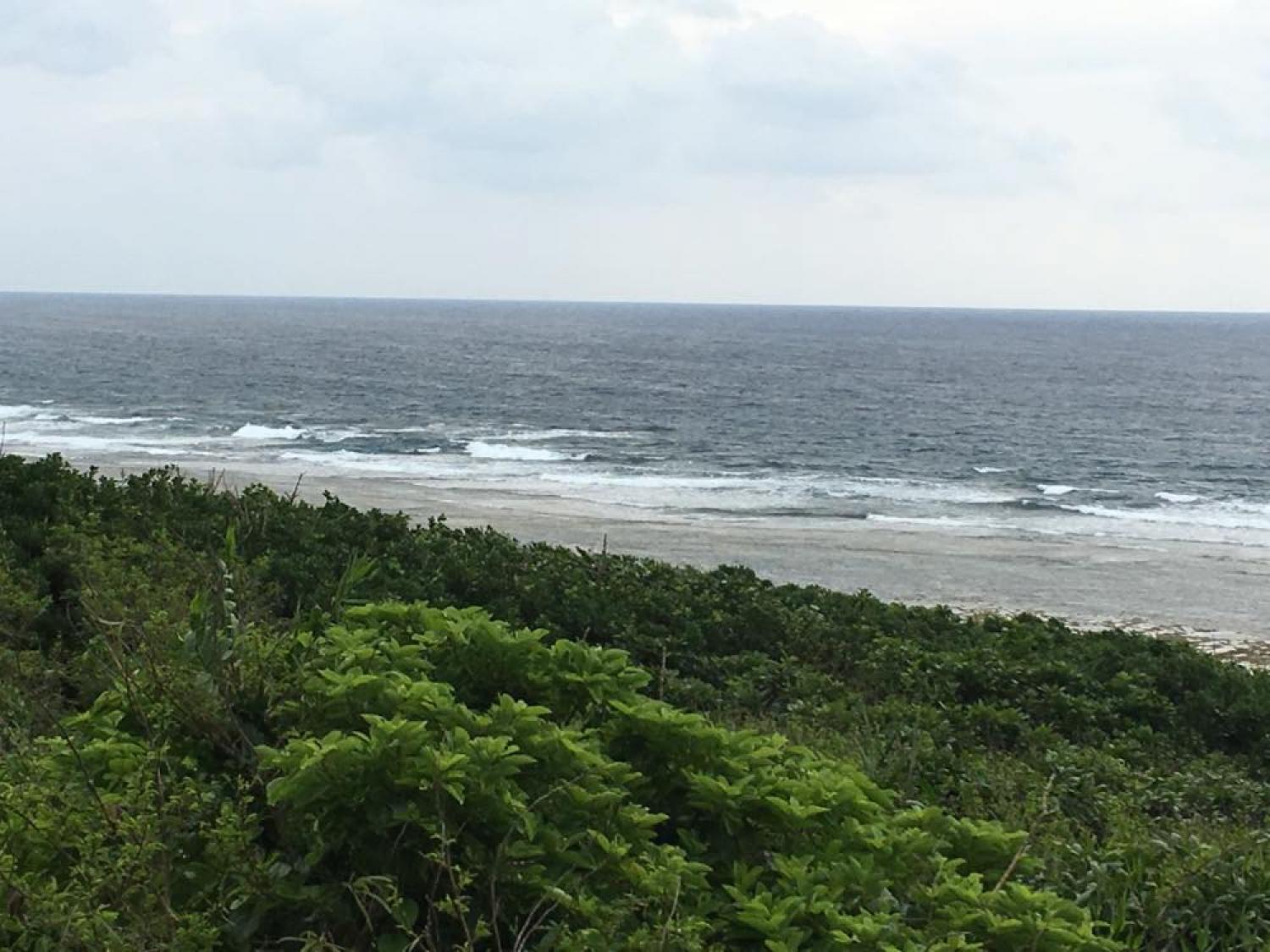 May 20 suicide point wave information 1