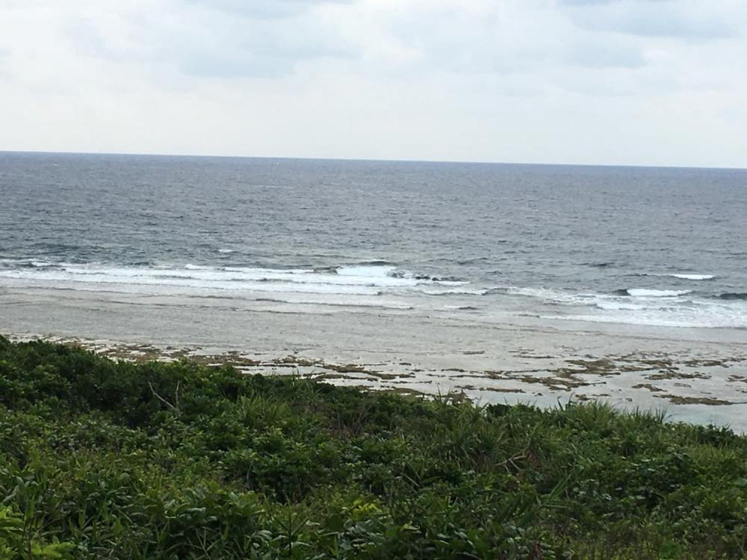 May 20 suicide point wave information 2