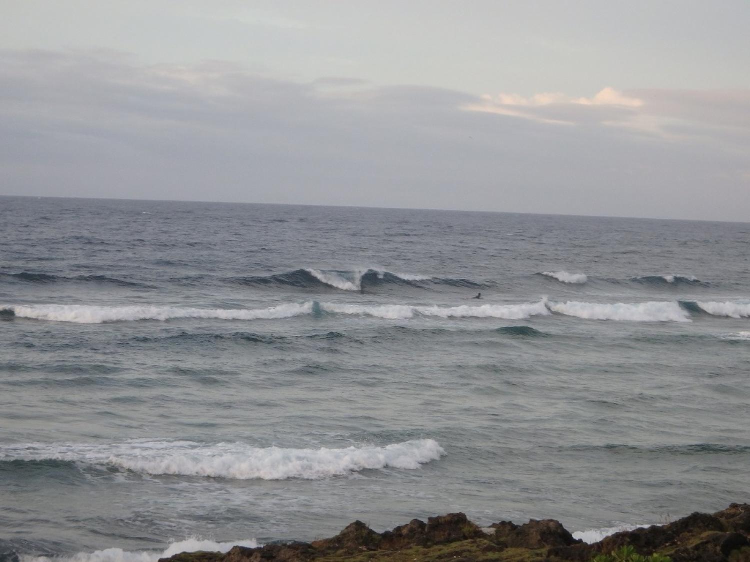 May 25 suicide point wave information 4