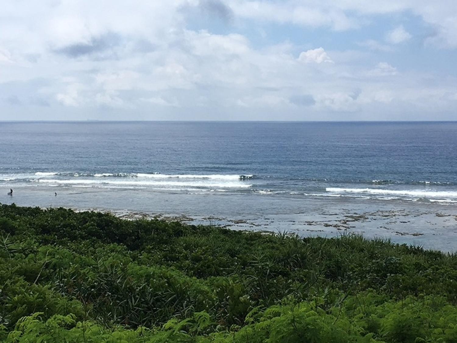6月10日（土）スーサイド波情報 1