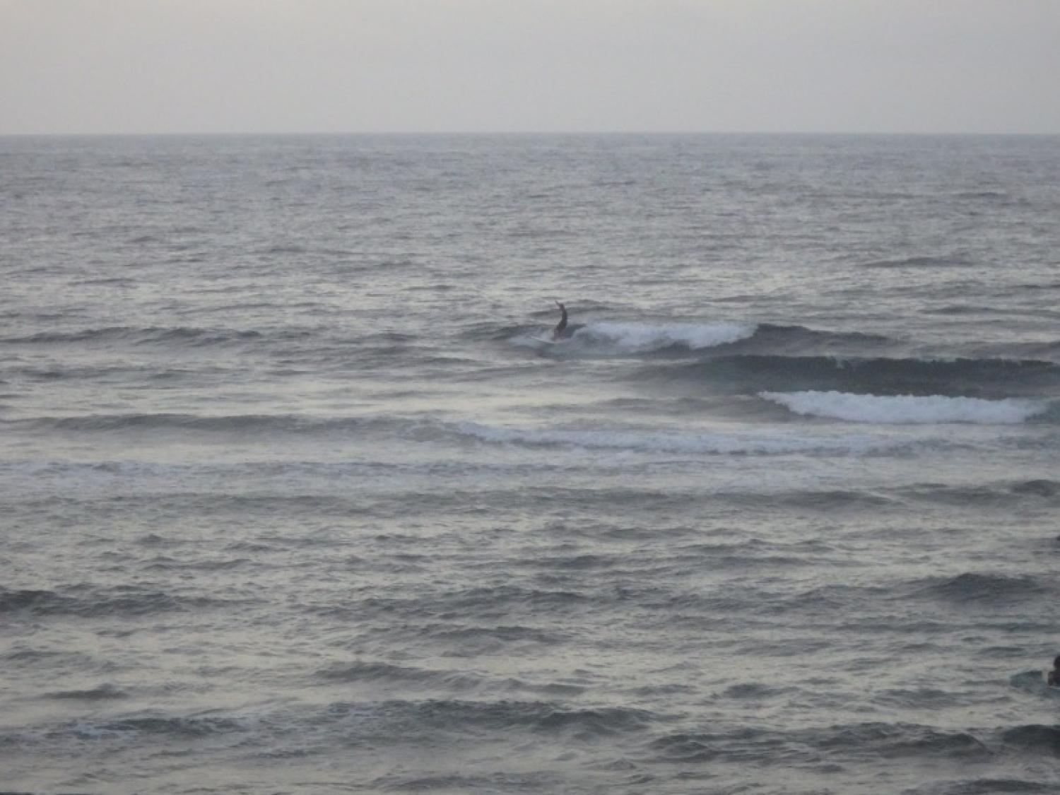 June 26 suicide point wave information 2