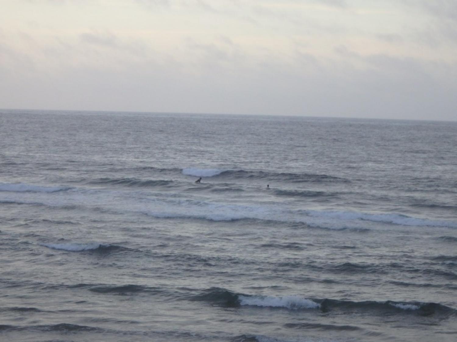 June 26 suicide point wave information 3
