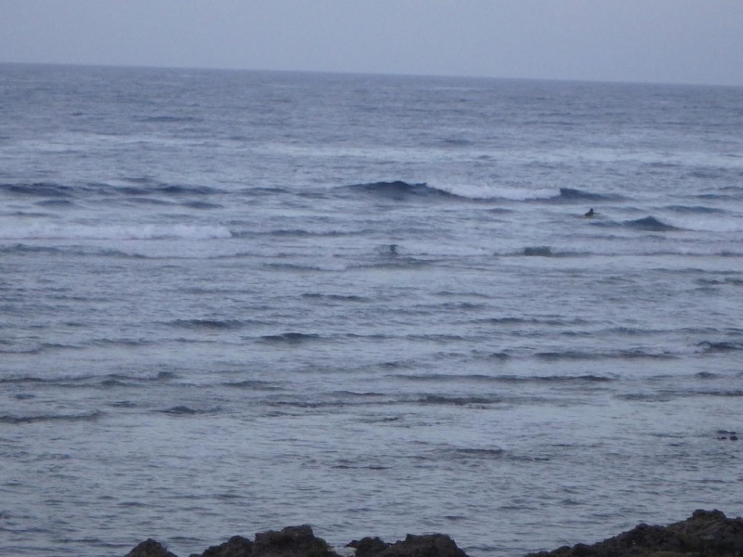 June 27 suicide point wave information 5