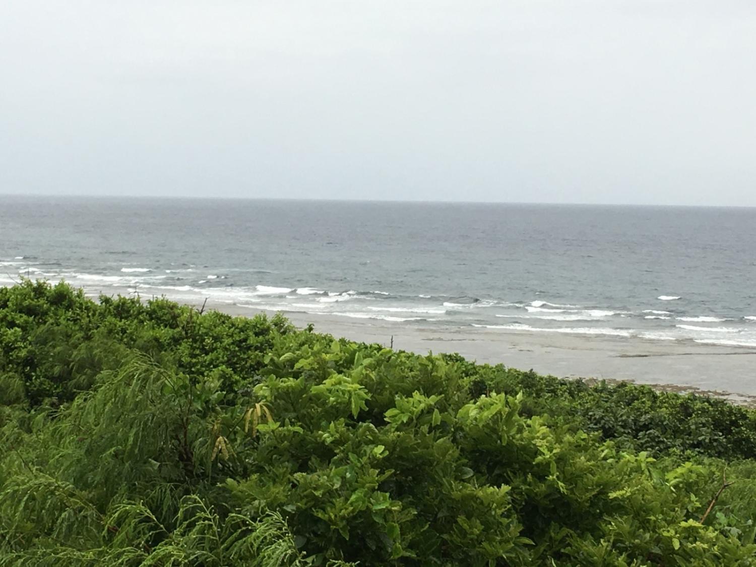June 30 suicide point wave information 3