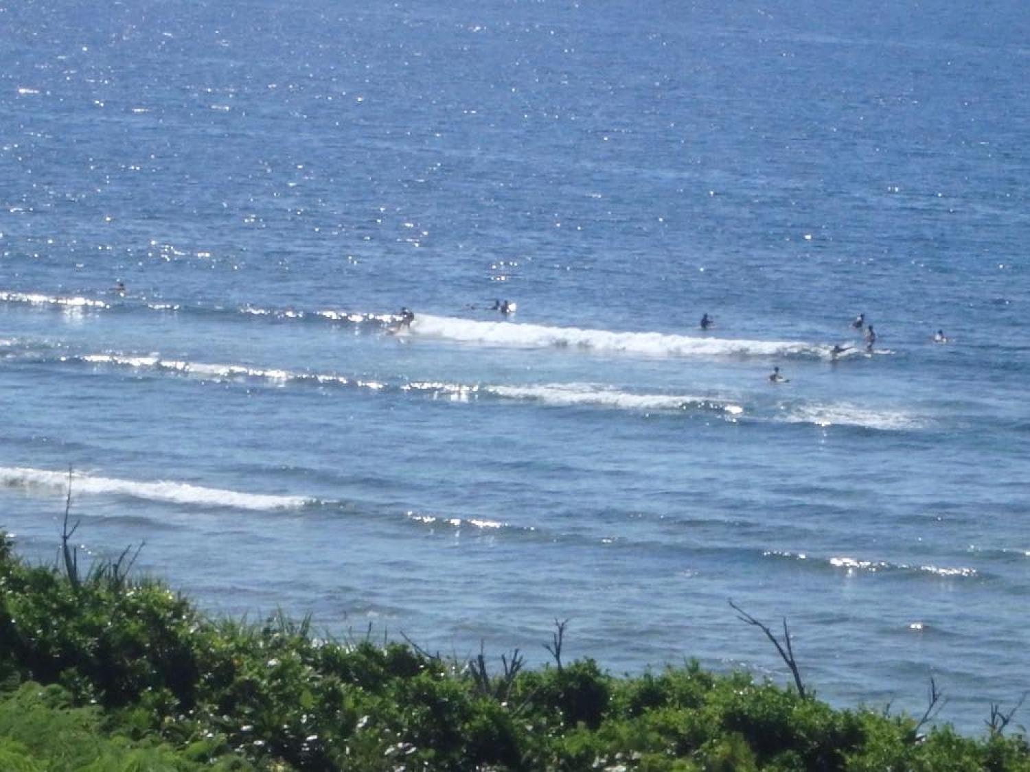 July 15 suicide point wave information 3