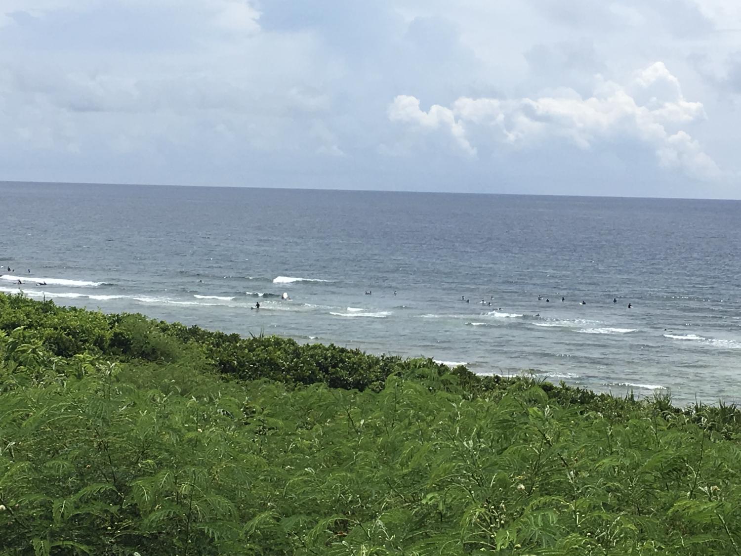 July 16 suicide point wave information 1