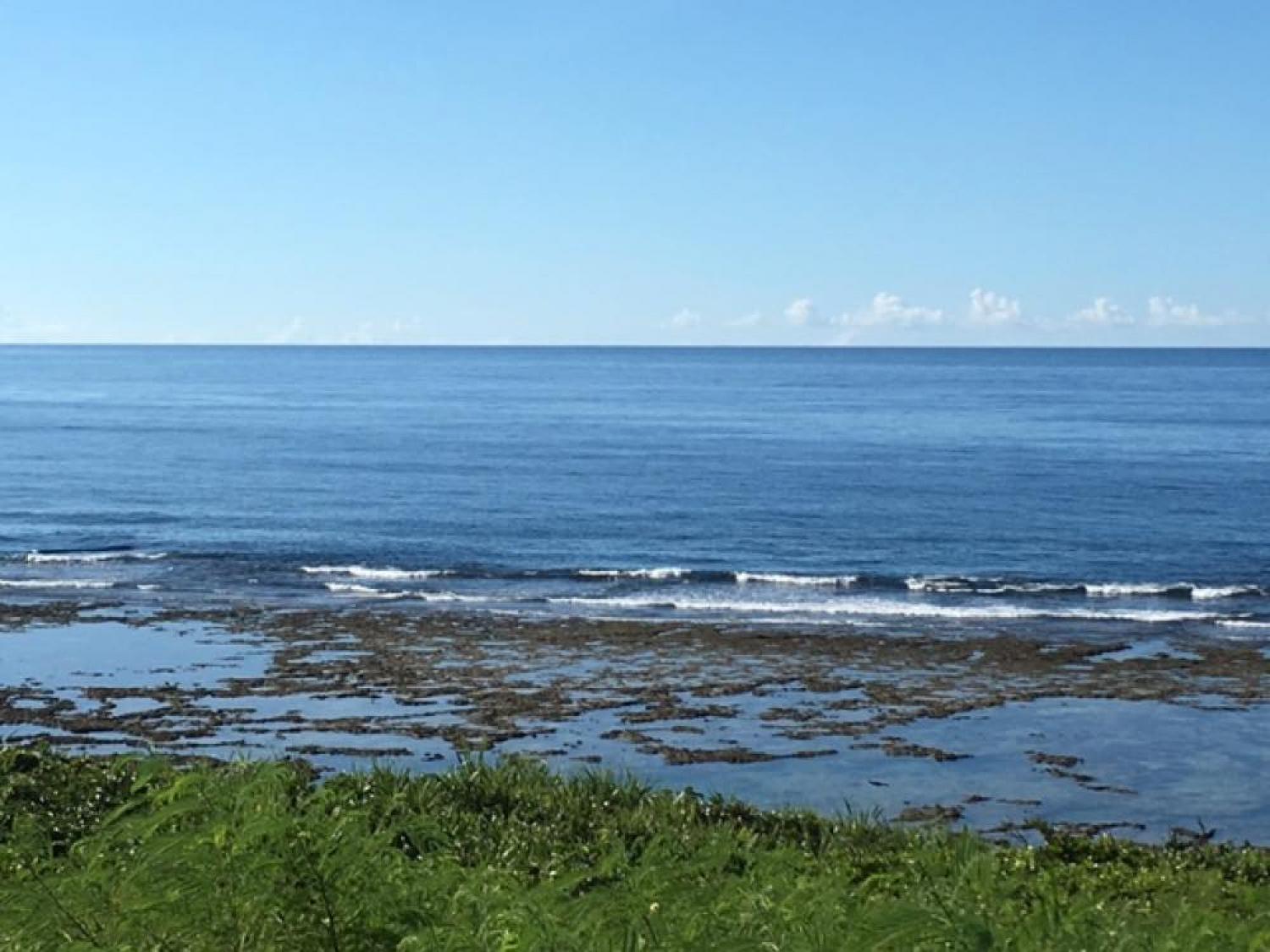 July 20 suicide point wave information 1