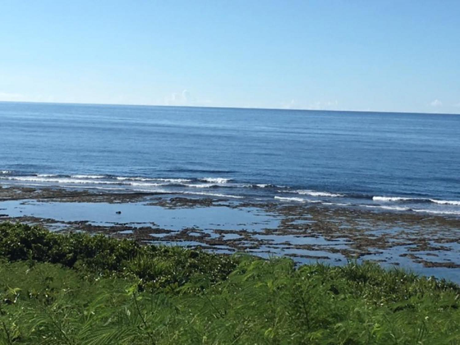 July 20 suicide point wave information 2