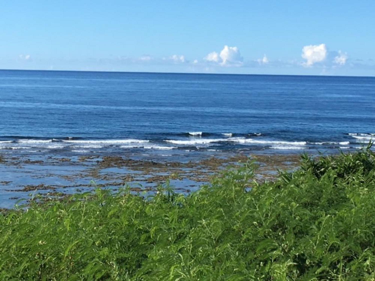 July 20 suicide point wave information 4