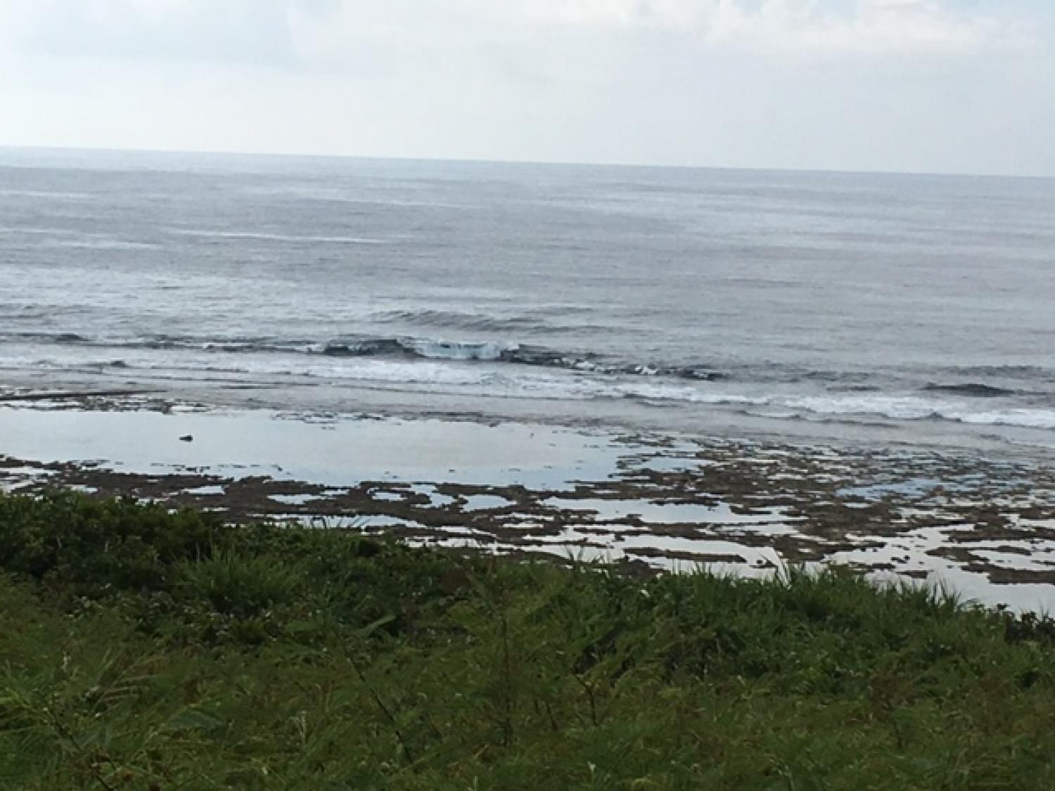 Aug 1 suicide point wave information 1
