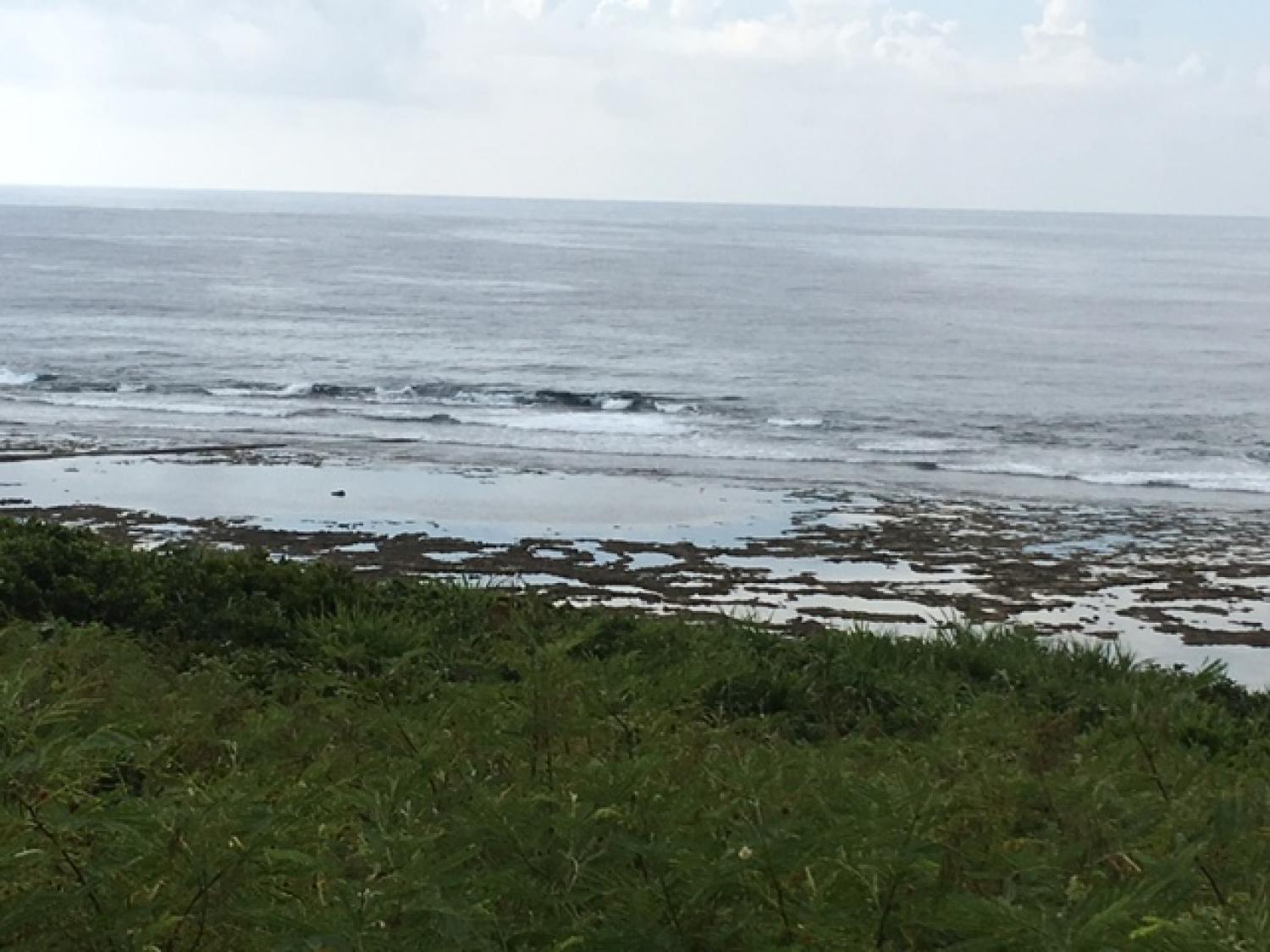 Aug 1 suicide point wave information 4