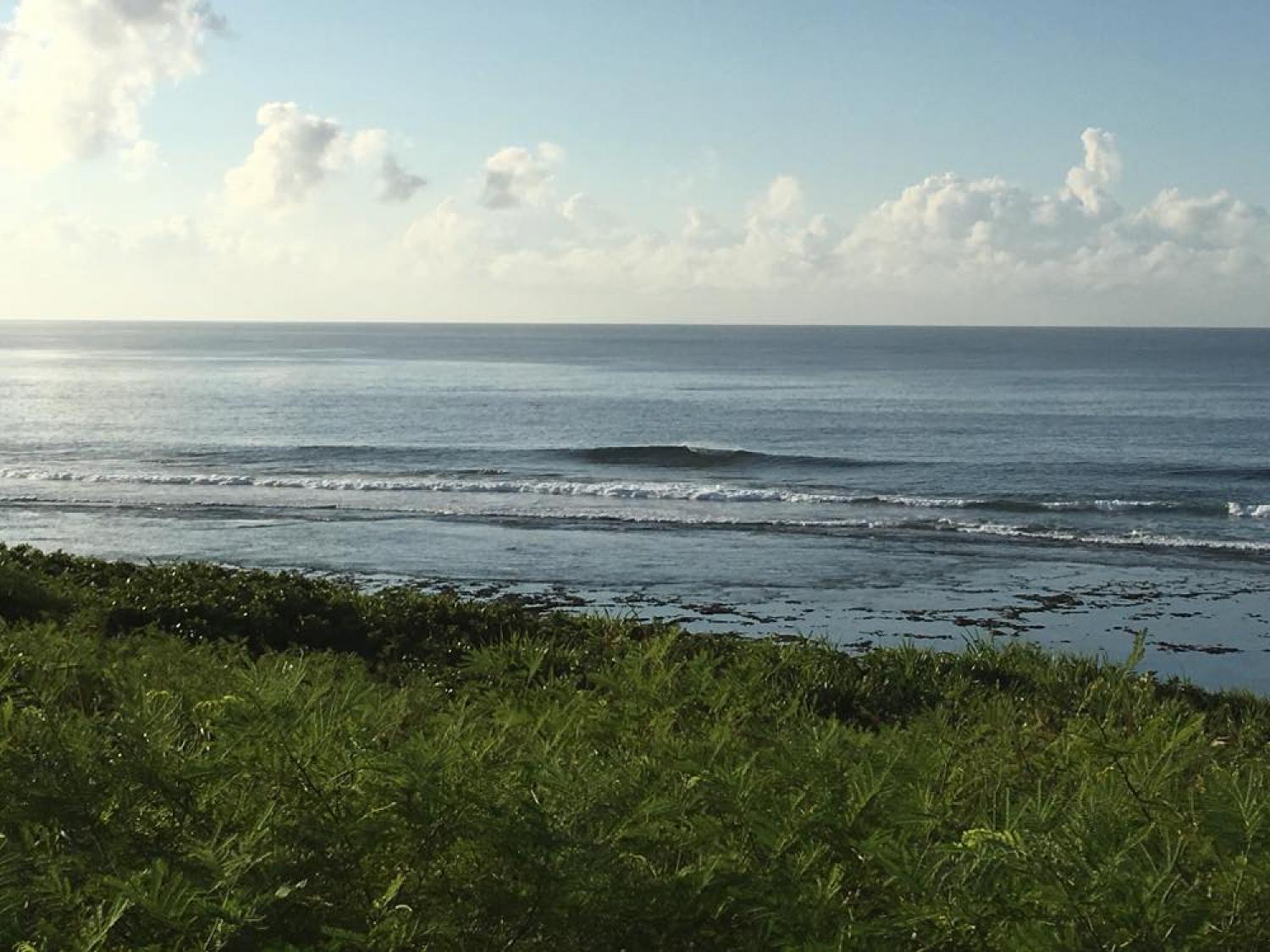 Aug 2 suicide point wave information 1
