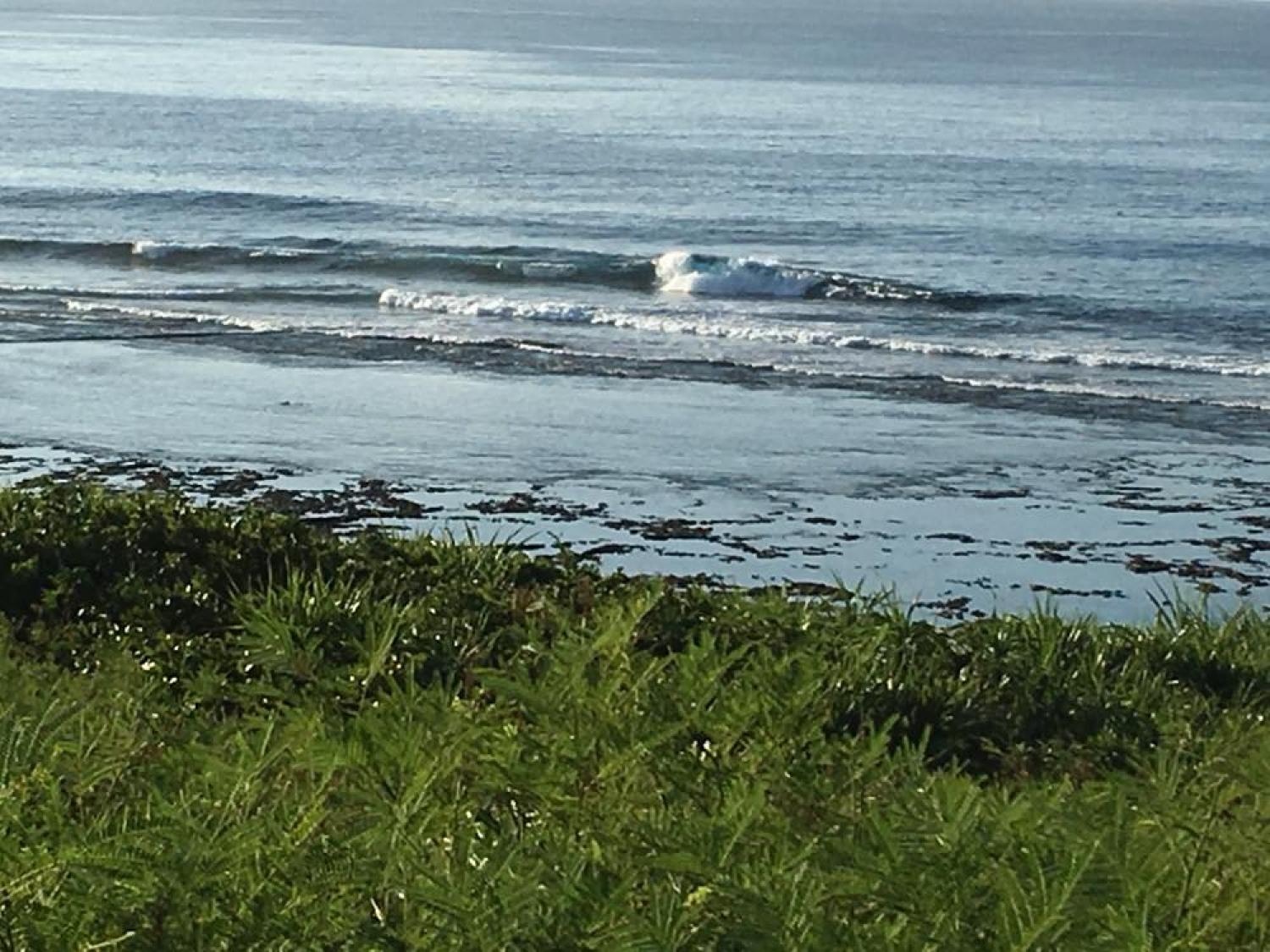 Aug 2 suicide point wave information 2