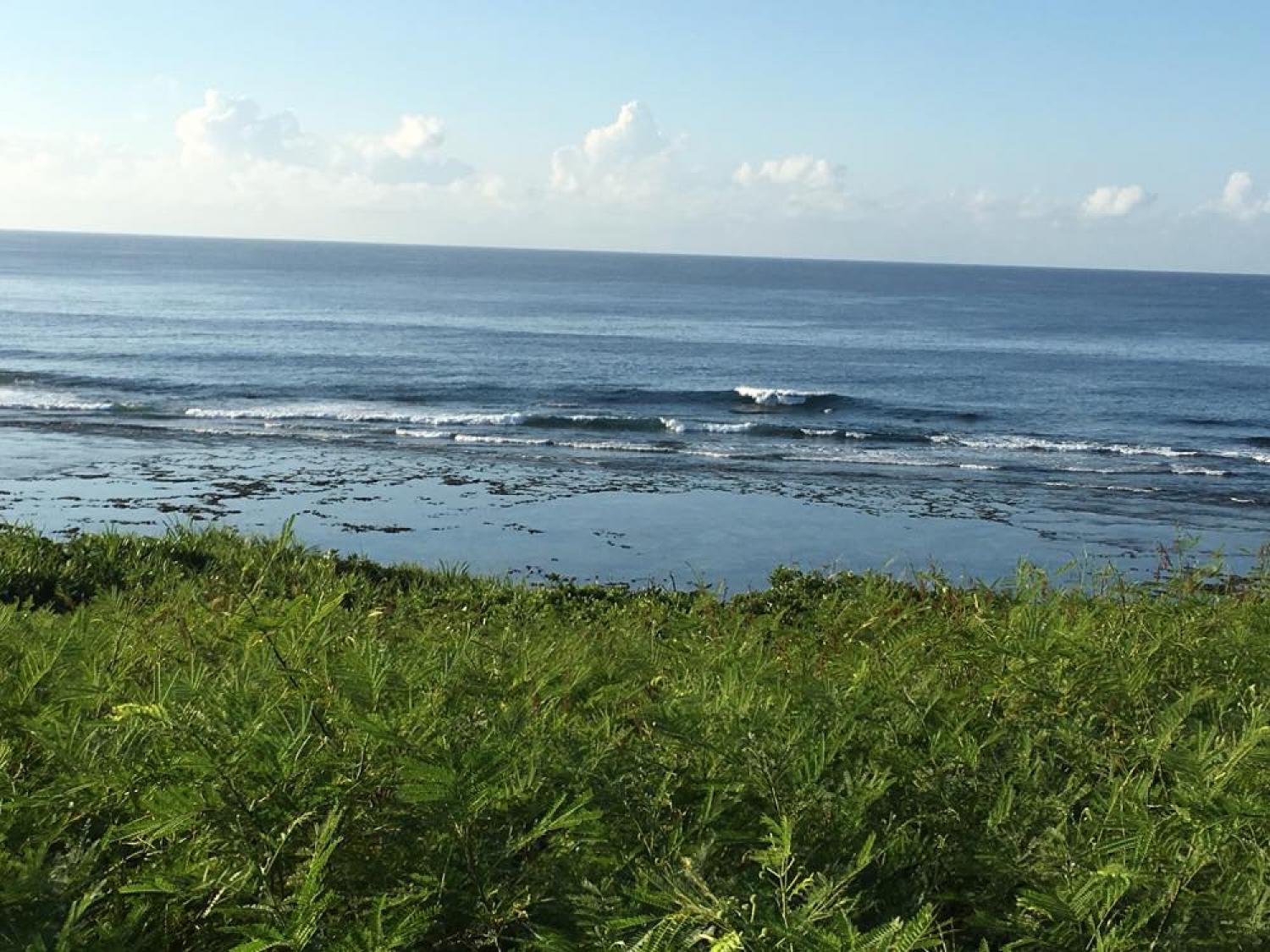 Aug 2 suicide point wave information 3