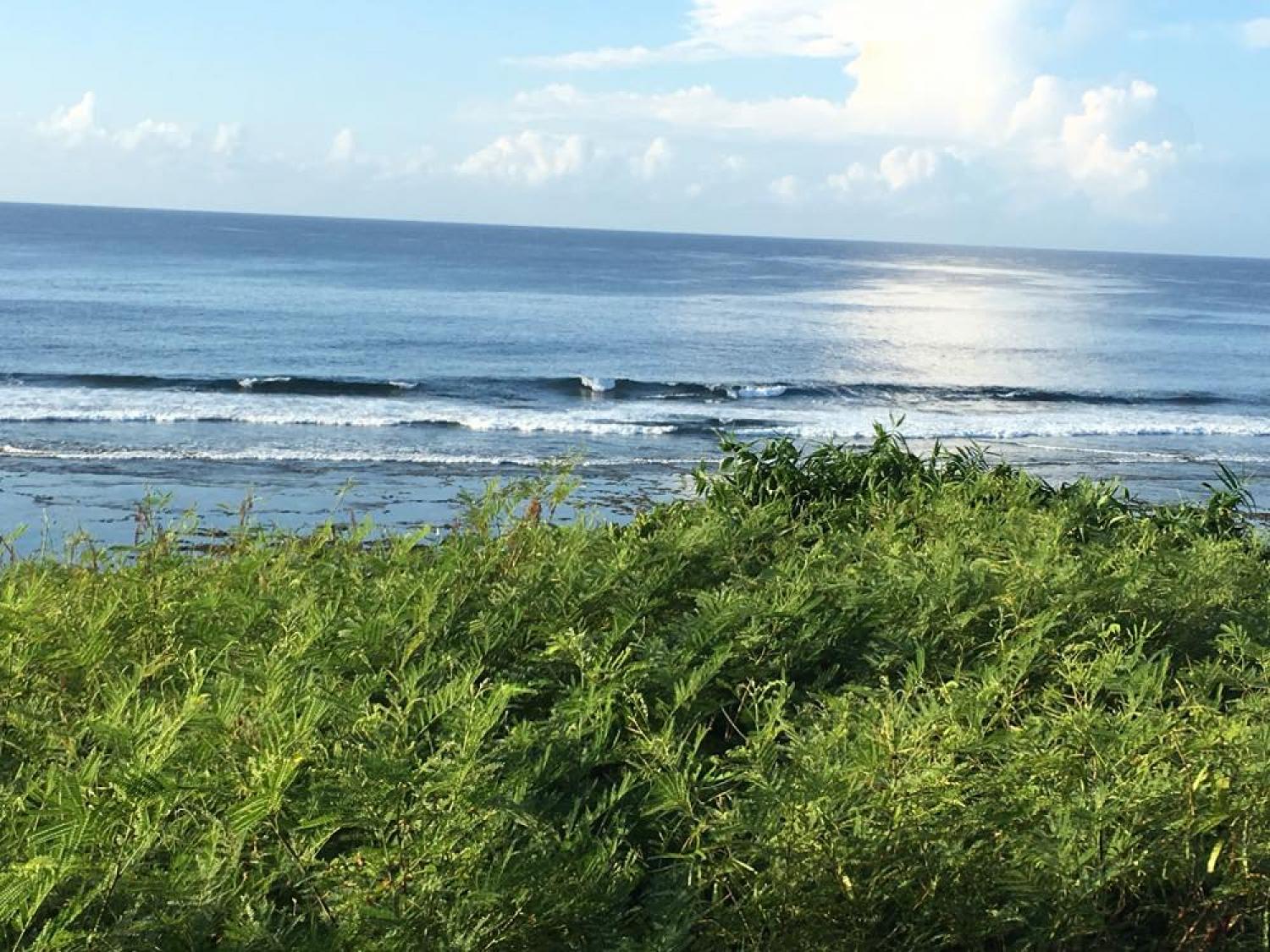 Aug 2 suicide point wave information 4