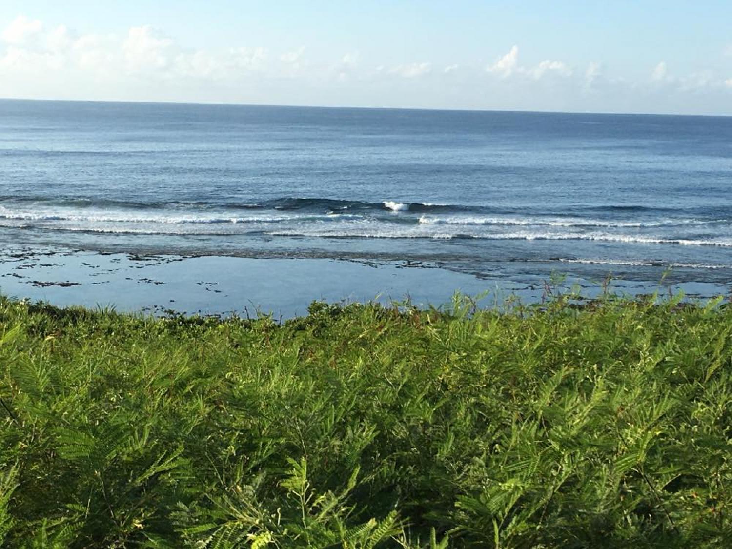 Aug 2 suicide point wave information 5