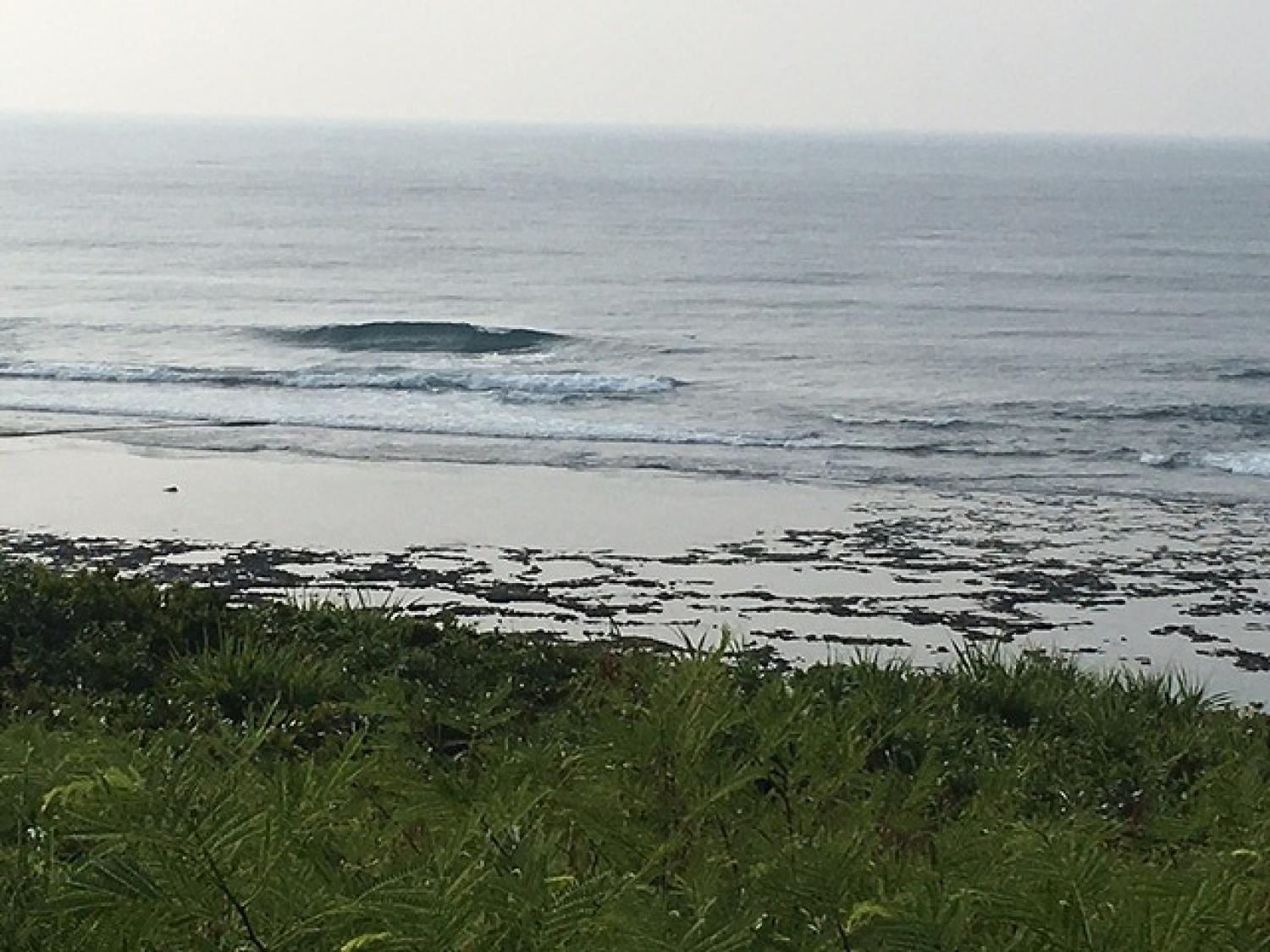 Aug 3 suicide point wave information 1