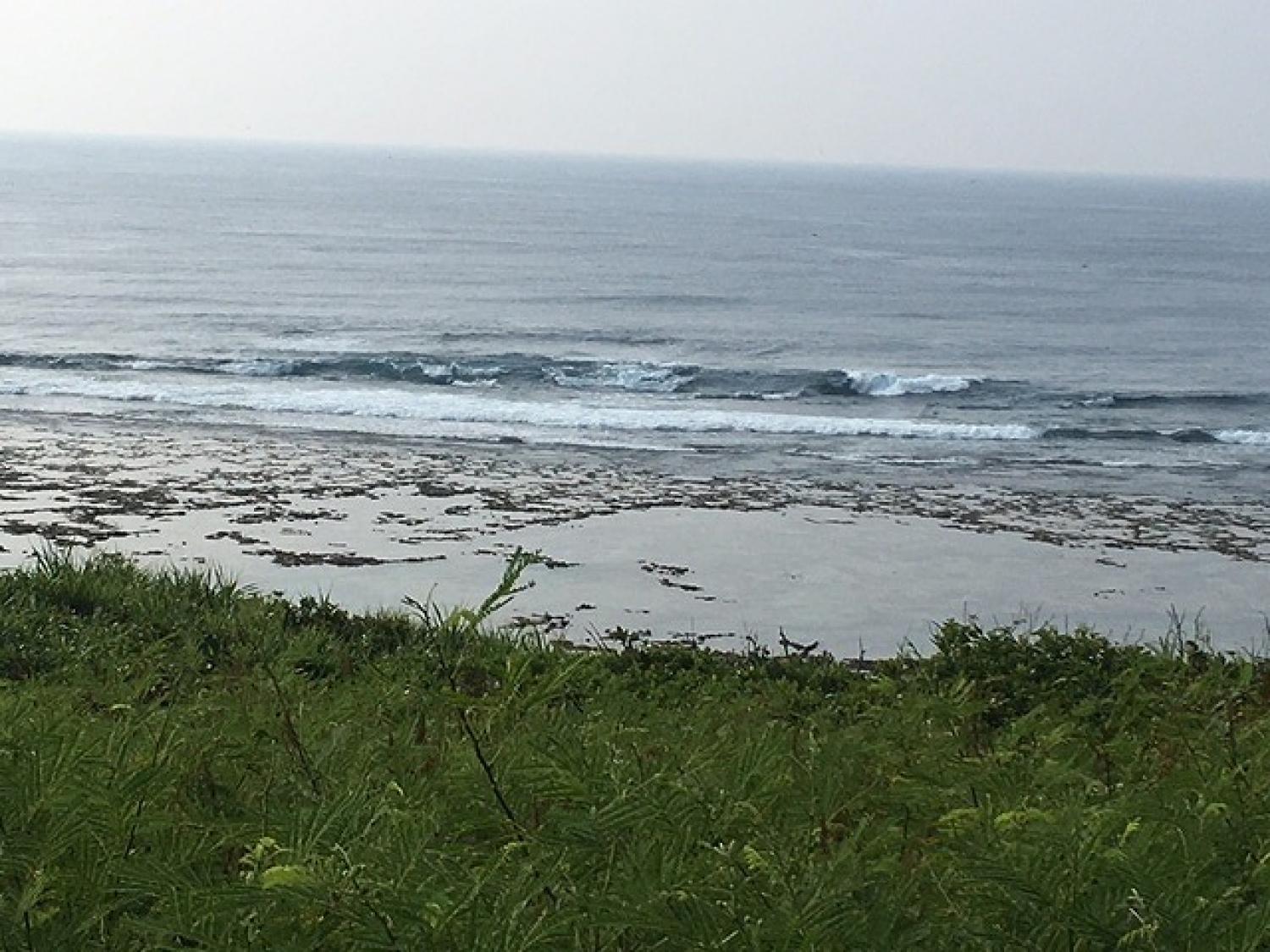 Aug 3 suicide point wave information 2