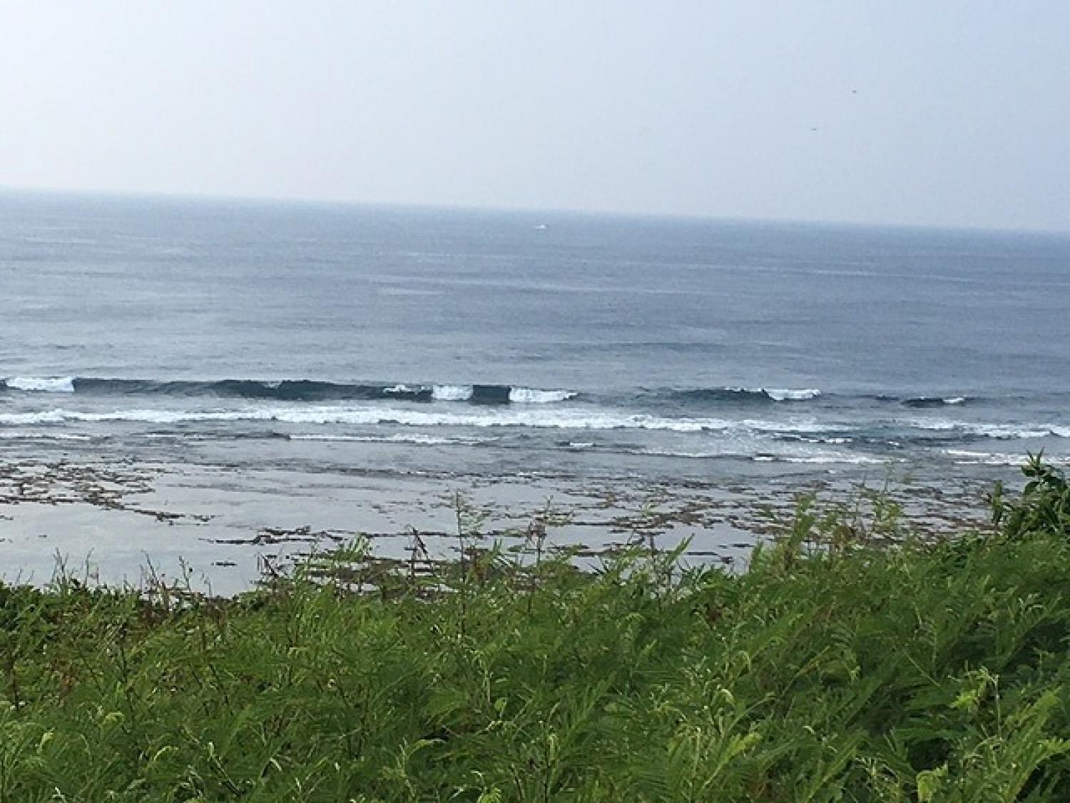 Aug 3 suicide point wave information 3