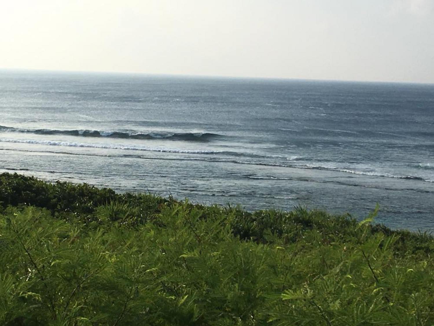 Aug 4 suicide point wave information 1