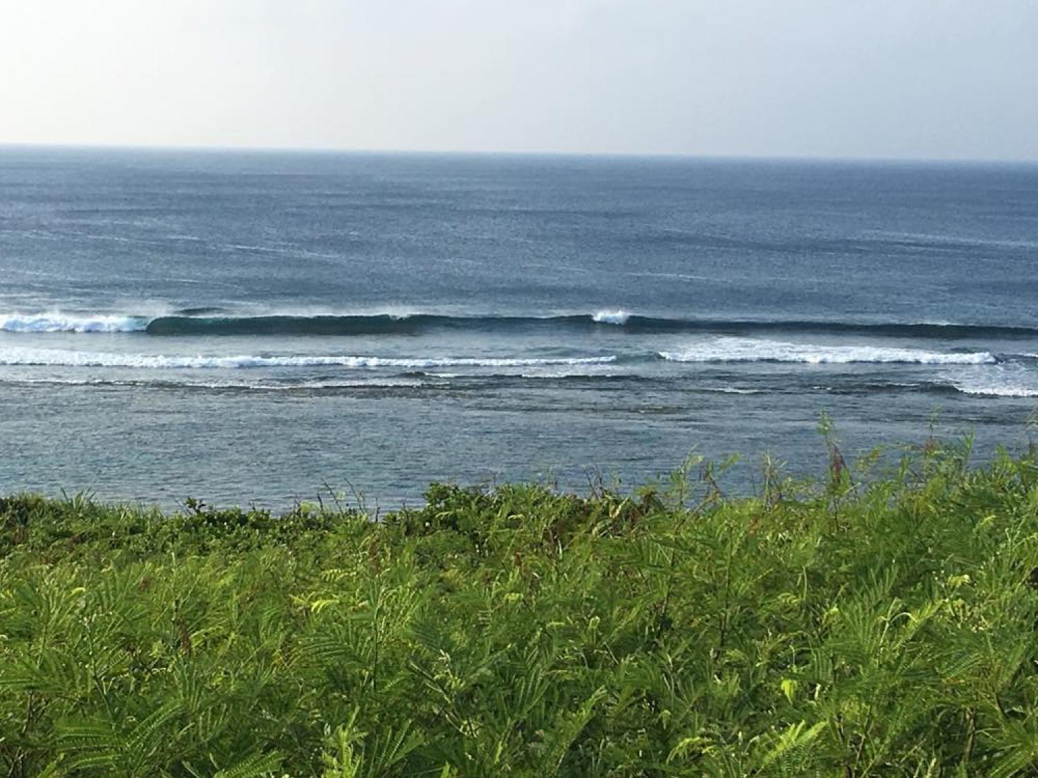 Aug 4 suicide point wave information 2
