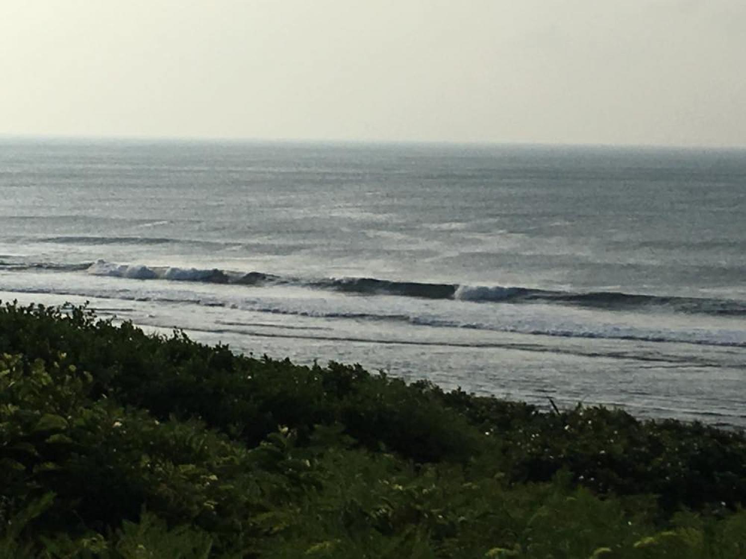 Aug 4 suicide point wave information 3