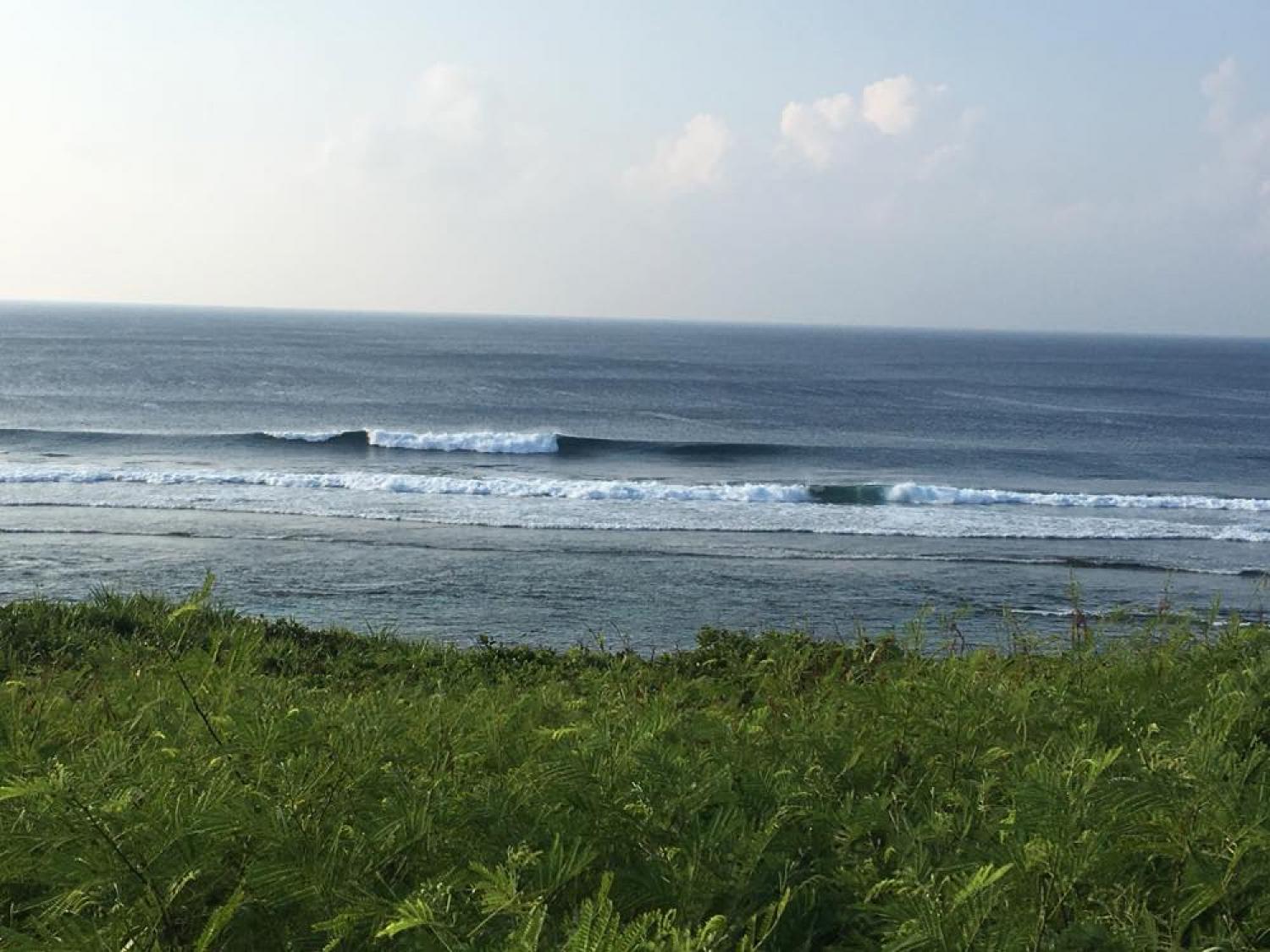 Aug 4 suicide point wave information 4