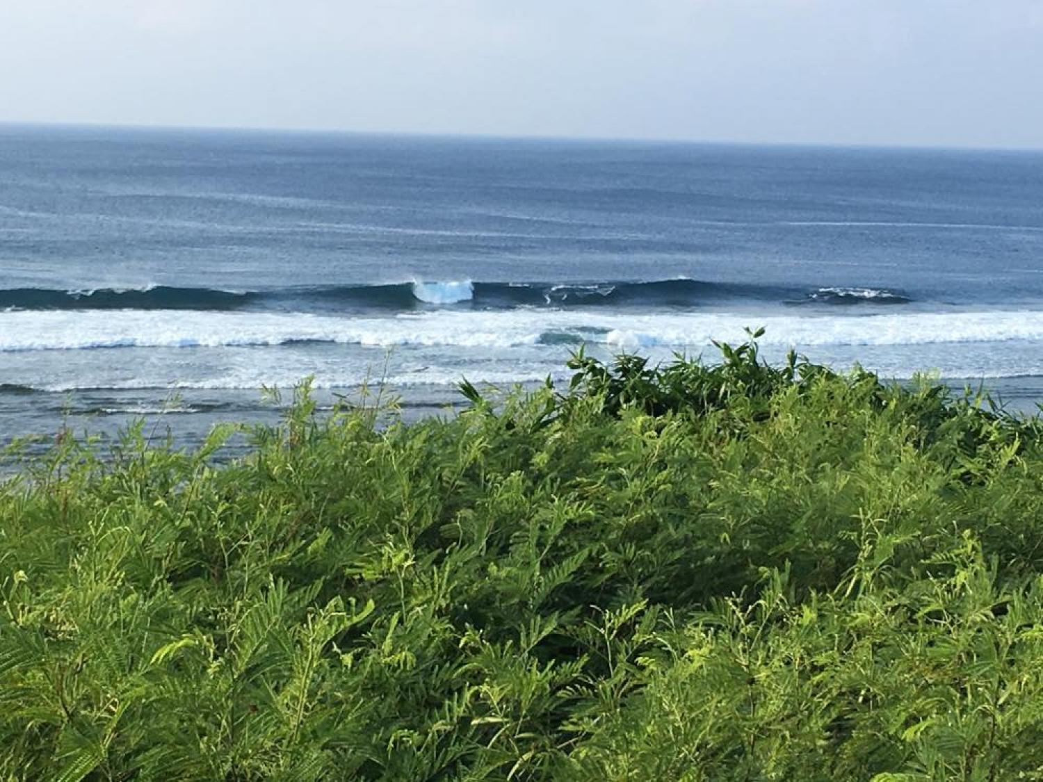 Aug 4 suicide point wave information 5