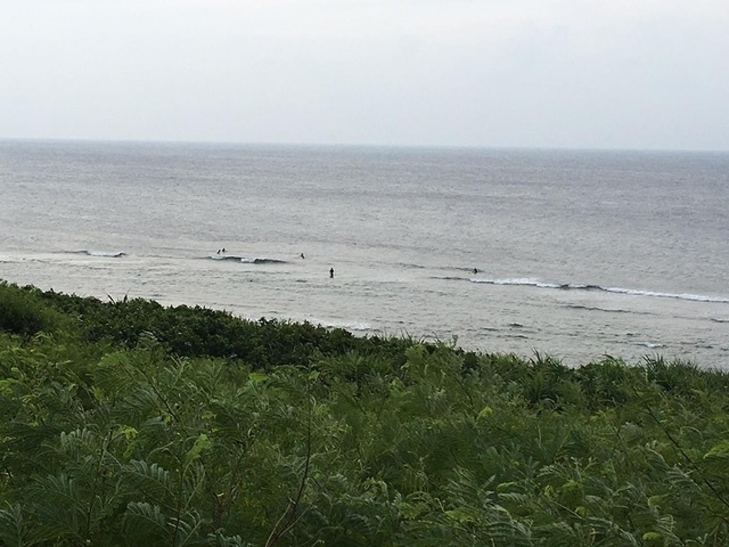 8月5日（土) スーサイド波情報 2