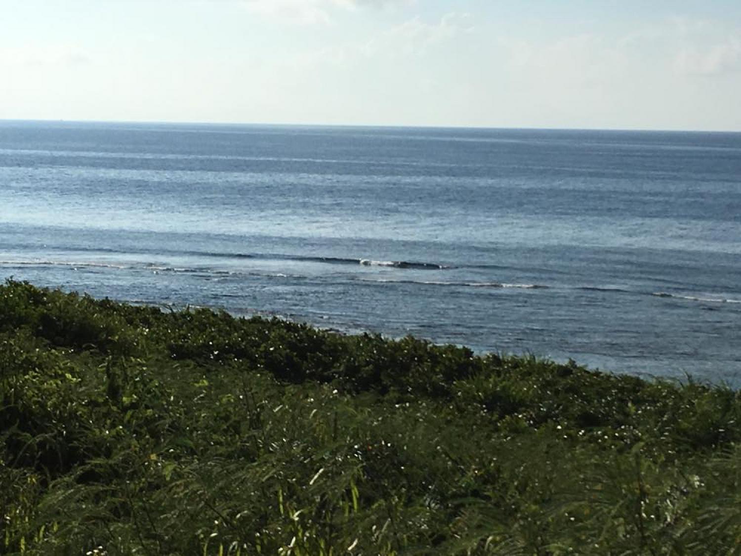 Aug 14 suicide point wave information 1