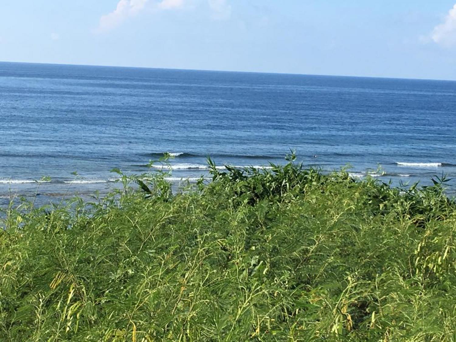 Aug 14 suicide point wave information 2