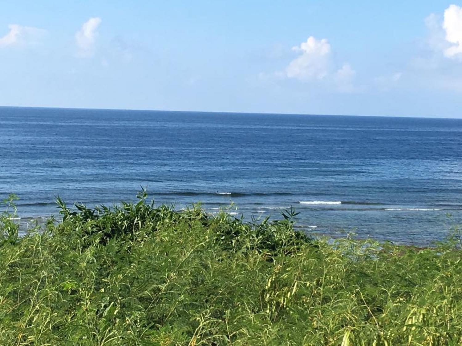 Aug 14 suicide point wave information 3