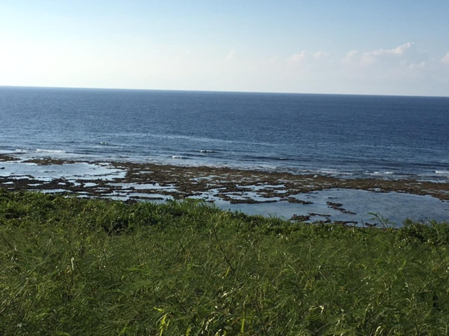 Aug 15 suicide point wave informatioin 1