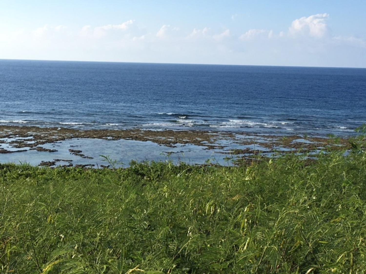 Aug 15 suicide point wave informatioin 2
