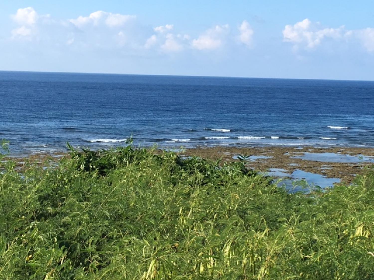 Aug 15 suicide point wave informatioin 3