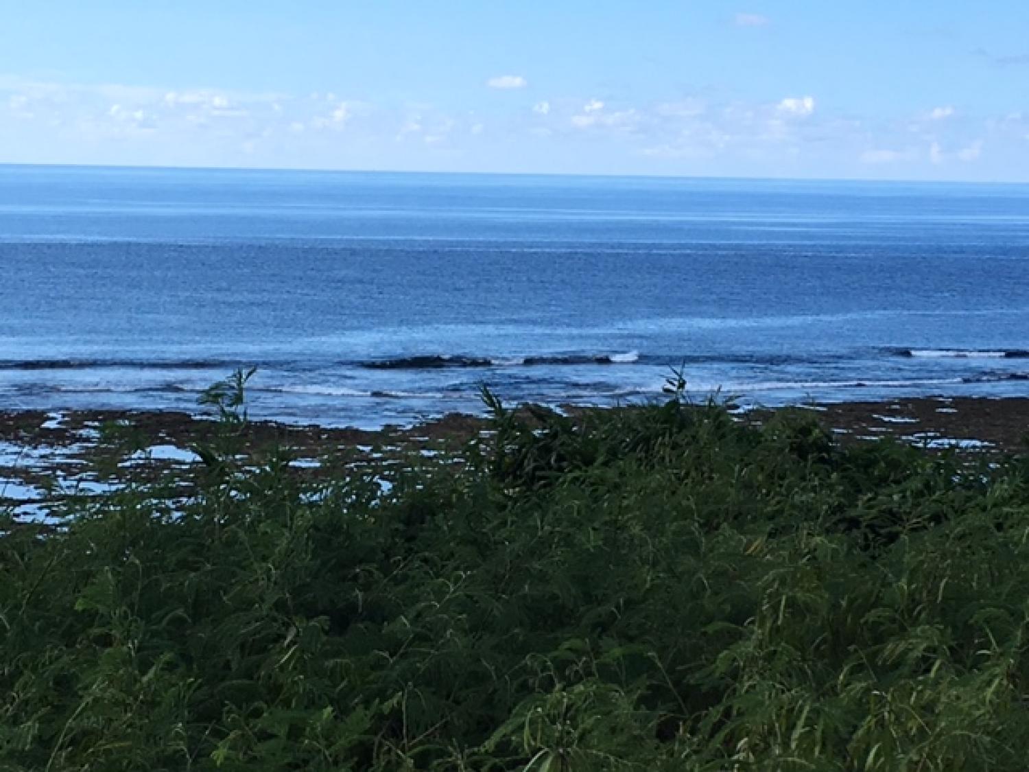 Aug 17 suicide point wave informatioin 1