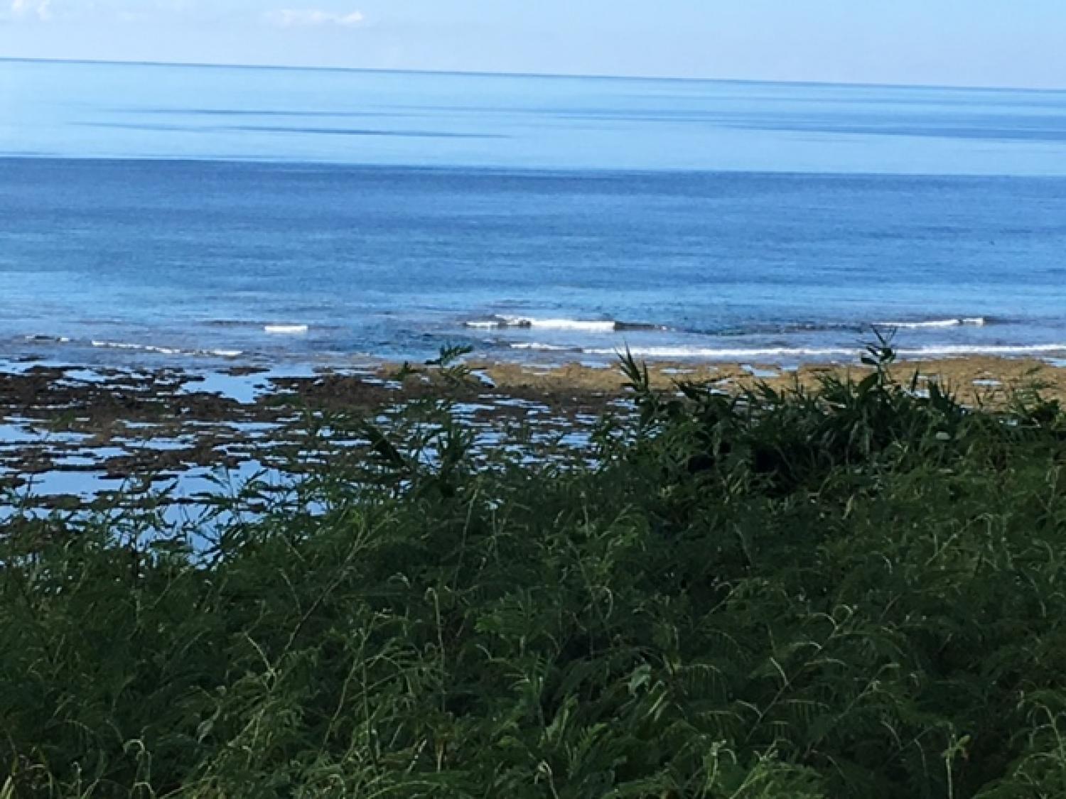 Aug 18 suicide point wave information 1