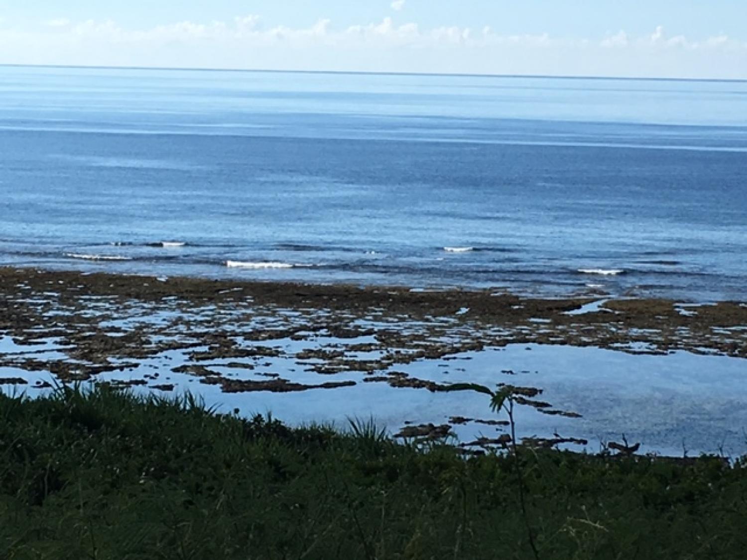 Aug 18 suicide point wave information 2
