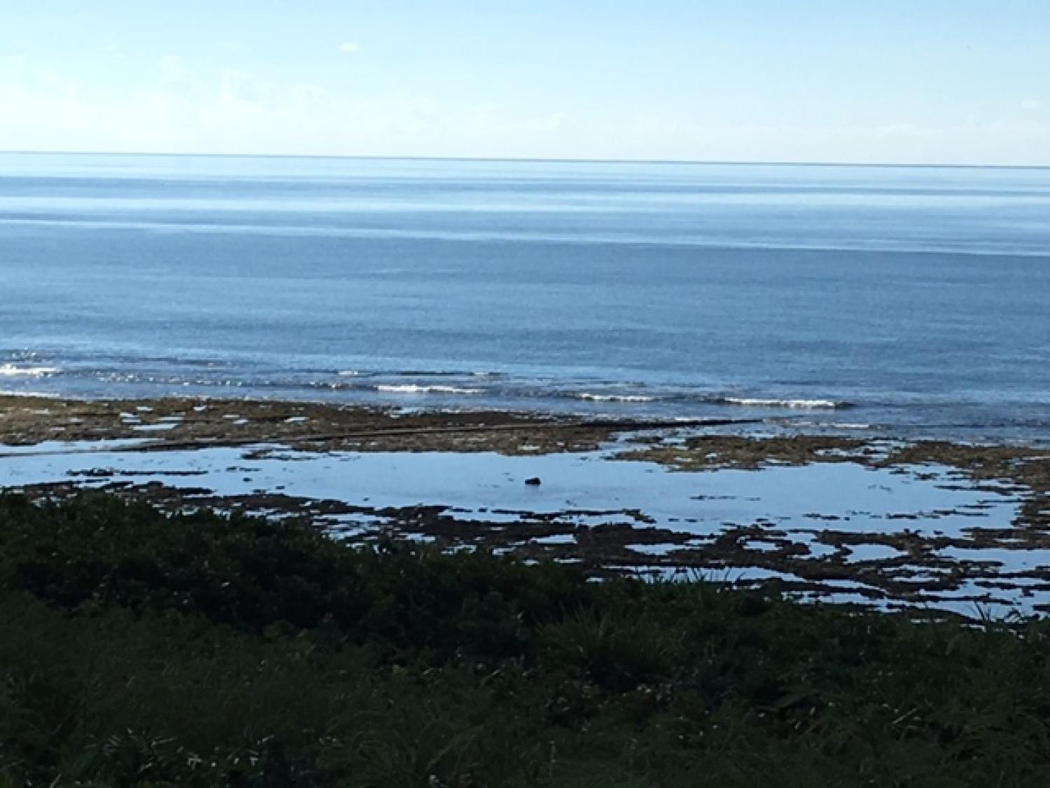 Aug 18 suicide point wave information 3