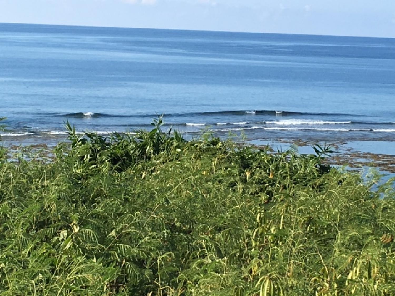 Aug 19 suicide point wave information 1