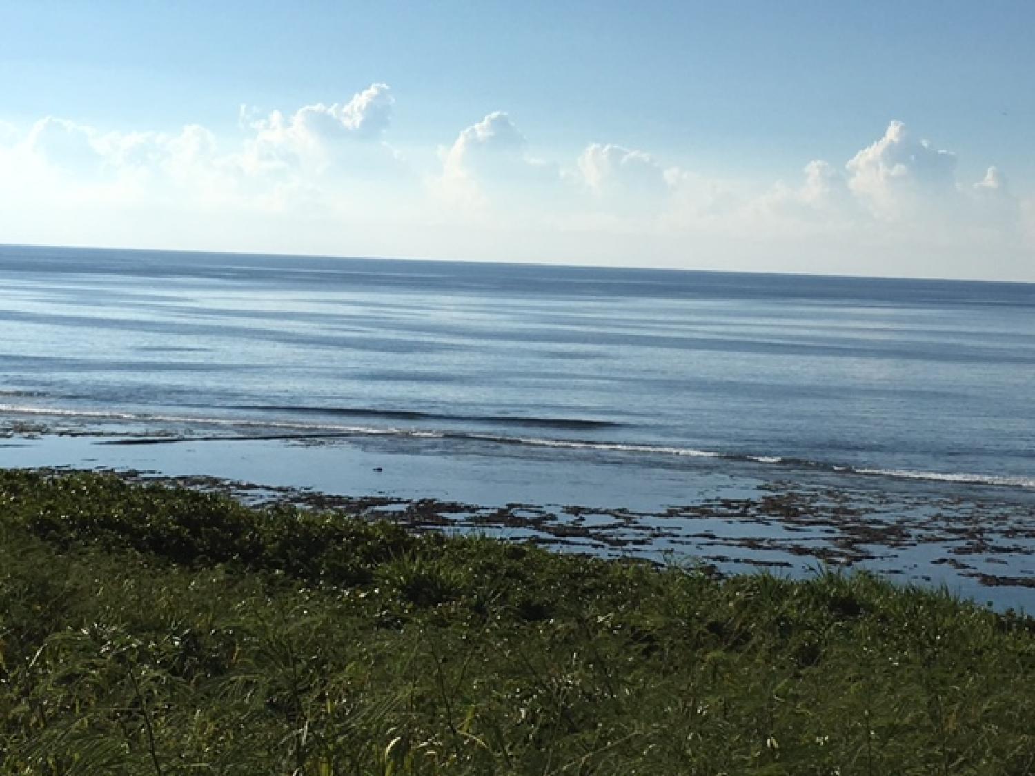 Aug 19 suicide point wave information 2