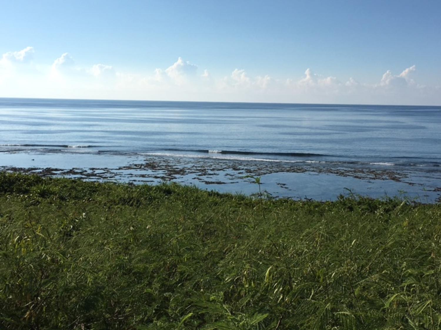 Aug 19 suicide point wave information 3