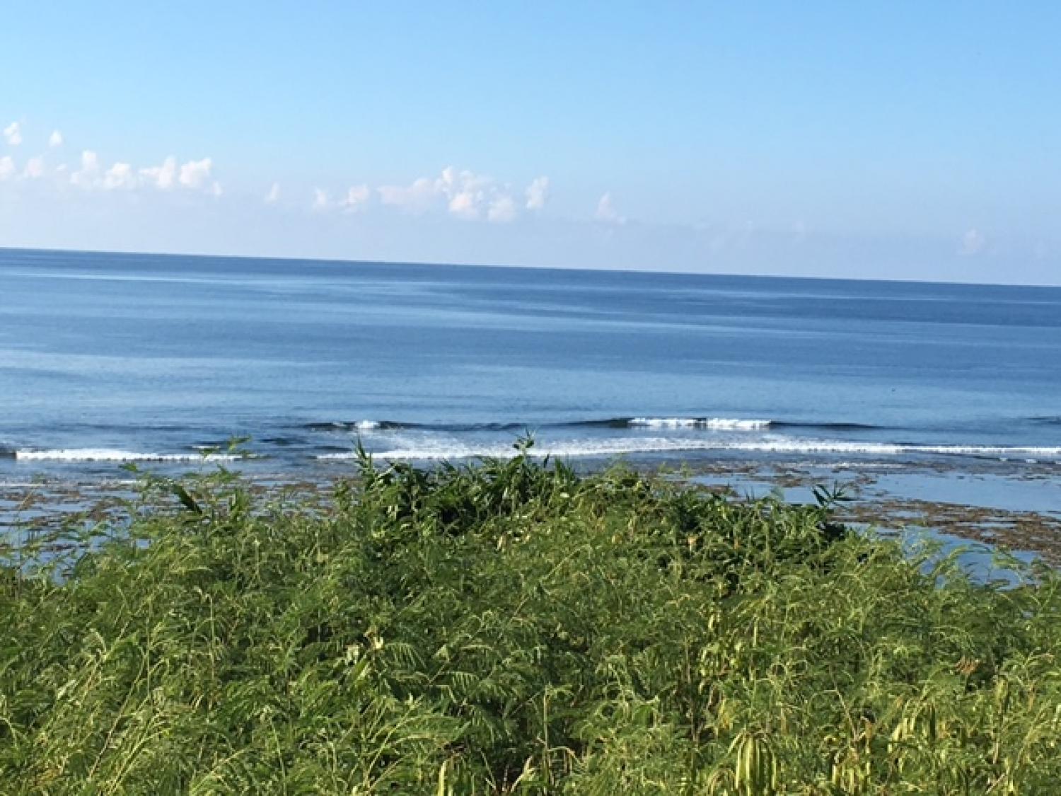 Aug 19 suicide point wave information 4