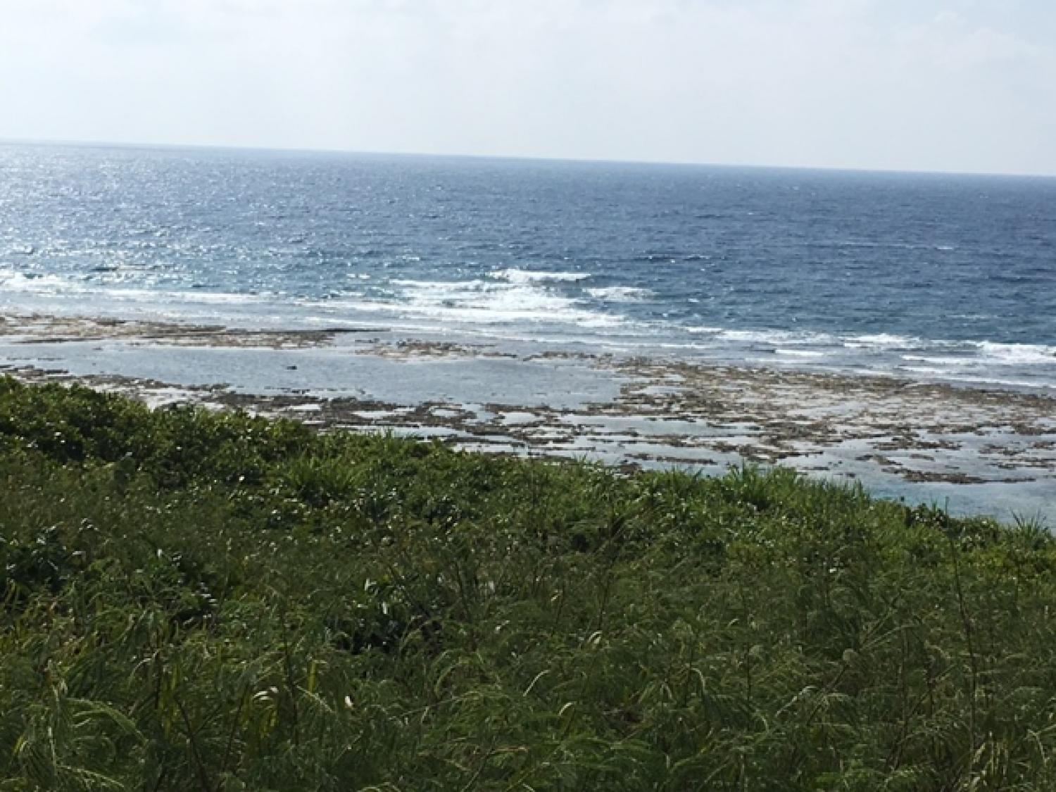 Aug 20 suicide point wave informaton 1