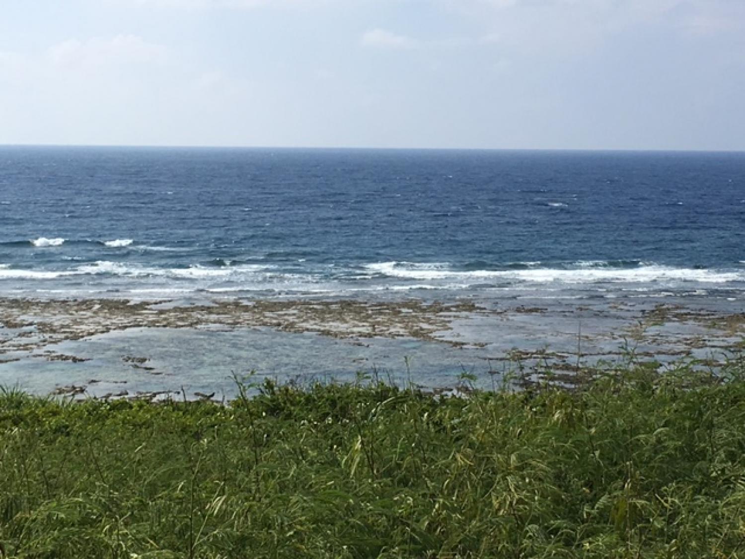 Aug 20 suicide point wave informaton 2