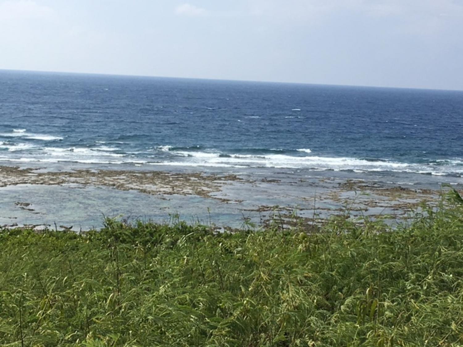 Aug 20 suicide point wave informaton 3