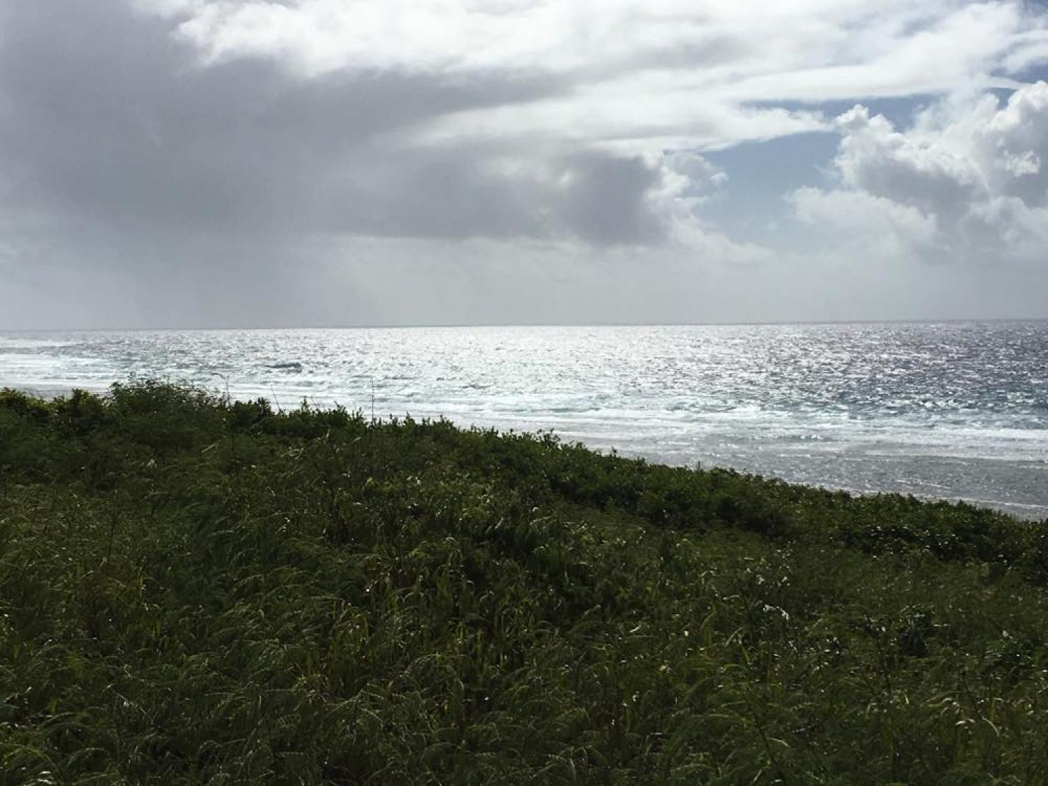 Aug 21 suicide point wave information 3