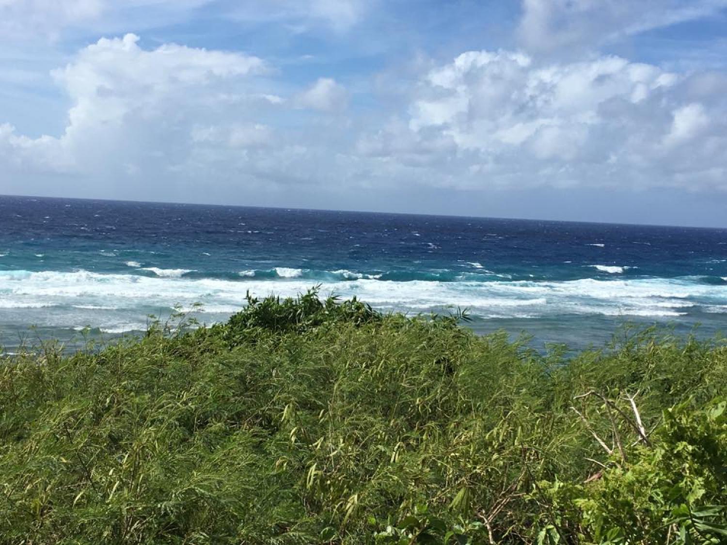 Aug 22 suicide point wave information 2