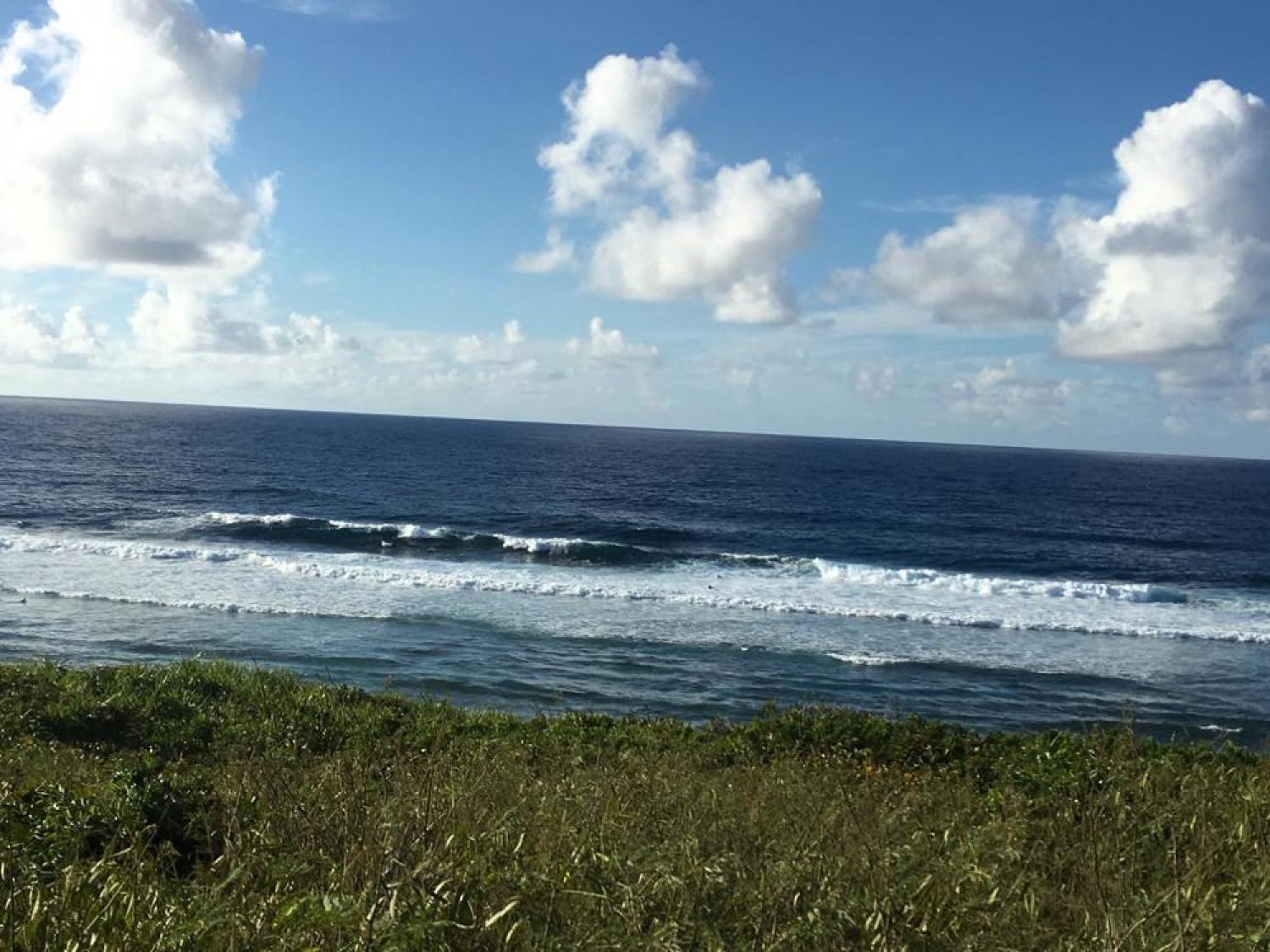 Aug 24 suicide point wave information 1